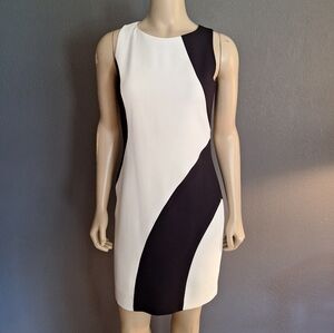 Ann Taylor Black/White Color Block Dress